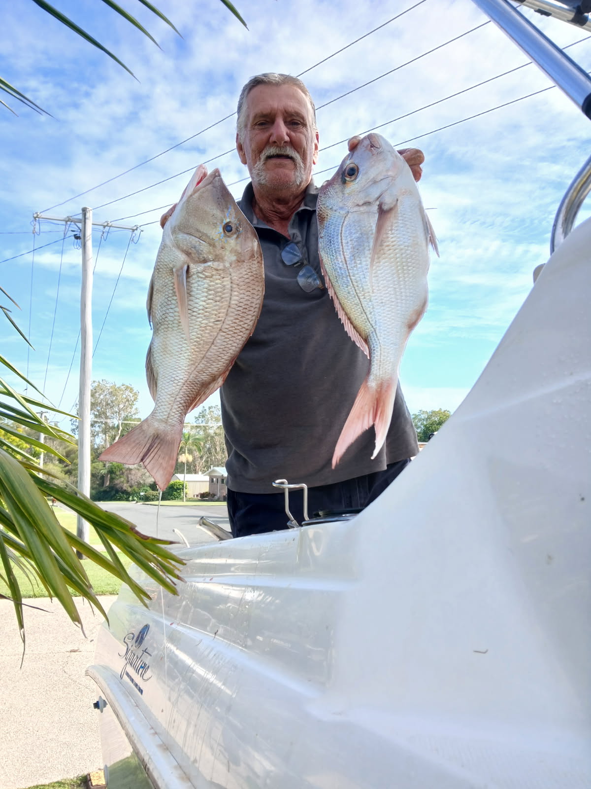 Mal Kay Snapper and Sweetlip