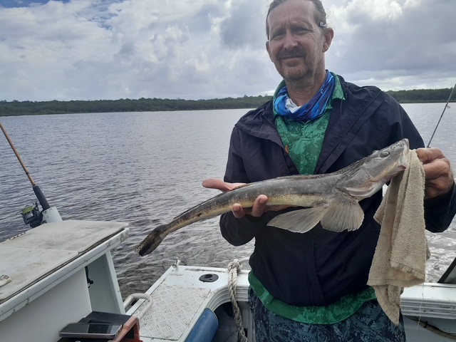 Sel Potter 63cm Flathead