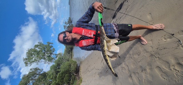 Sel Potter 67cm Flathead